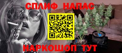 apvp Кузнецк