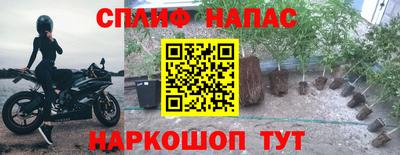 прущие грибы Бузулук